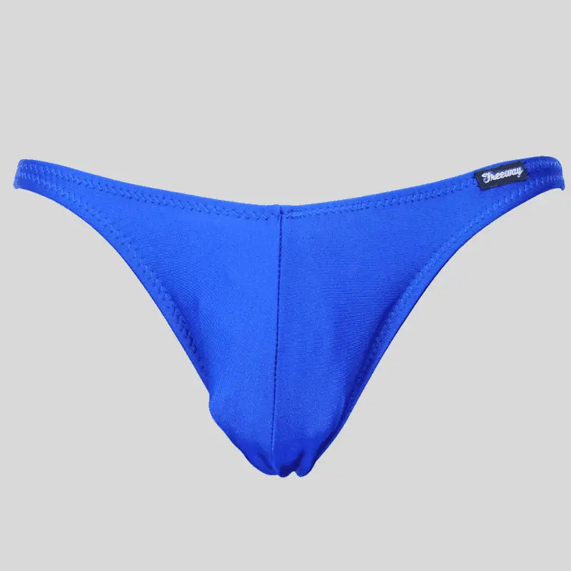 Thefreeway DN107 Competition Bodybuilding Briefs in royal blue solid Lycra, standalone front product view