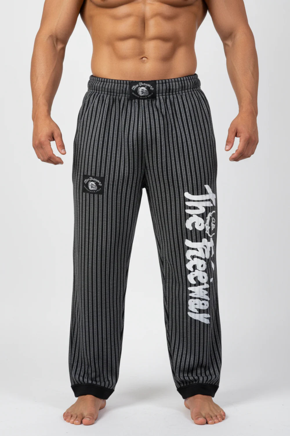 Thefreeway Art.253 unisex bodybuilding training pants in grey and black stripes, front detail showing waistband and leg logo